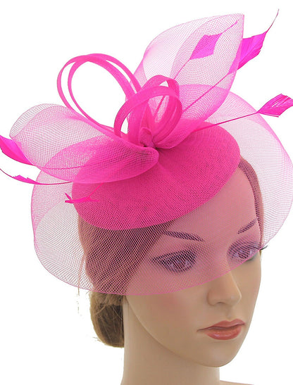 Fascinators Kentucky Derby Hat Headwear Organza Polyester / Polyamide Fedora Hat Floppy Hat Veil Hat Tea Party Horse Race Ladies Day Vintage Style Vintage Elegant With Feather Appliques