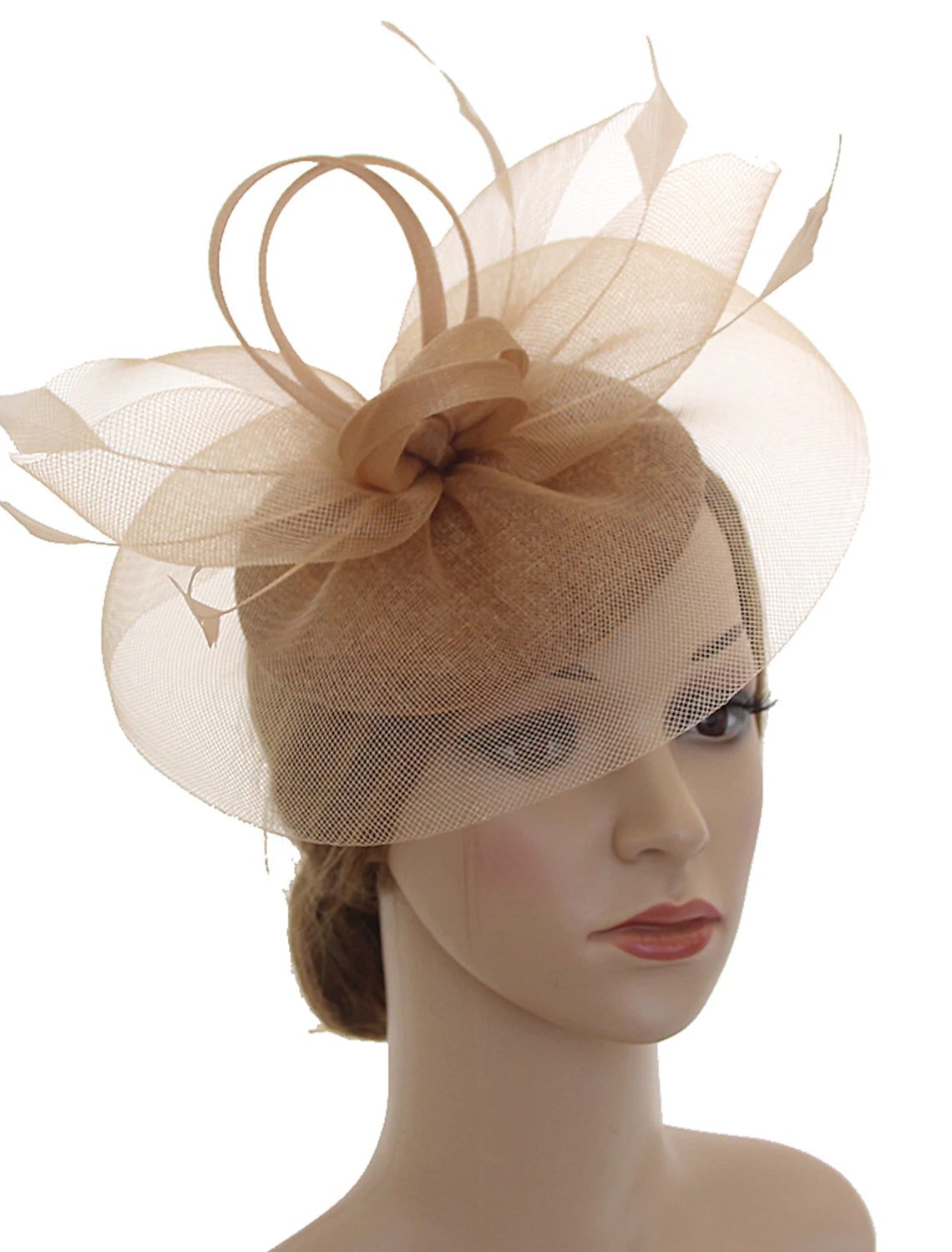 Fascinators Kentucky Derby Hat Headwear Organza Polyester / Polyamide Fedora Hat Floppy Hat Veil Hat Tea Party Horse Race Ladies Day Vintage Style Vintage Elegant With Feather Appliques